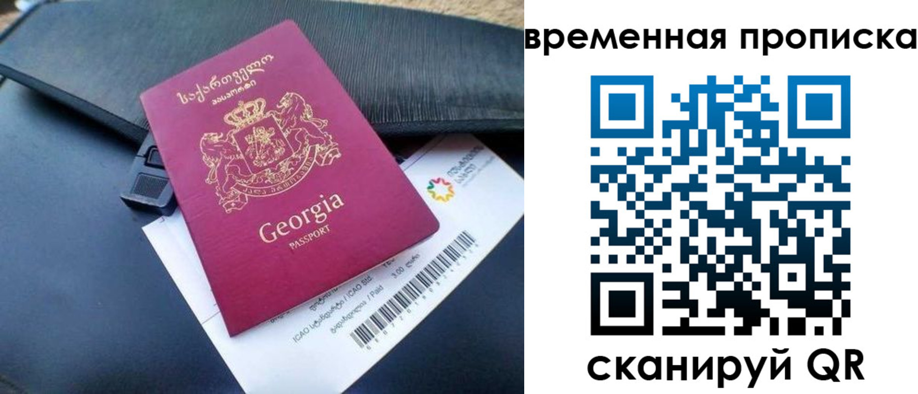 прописка для школы в Димитровграде