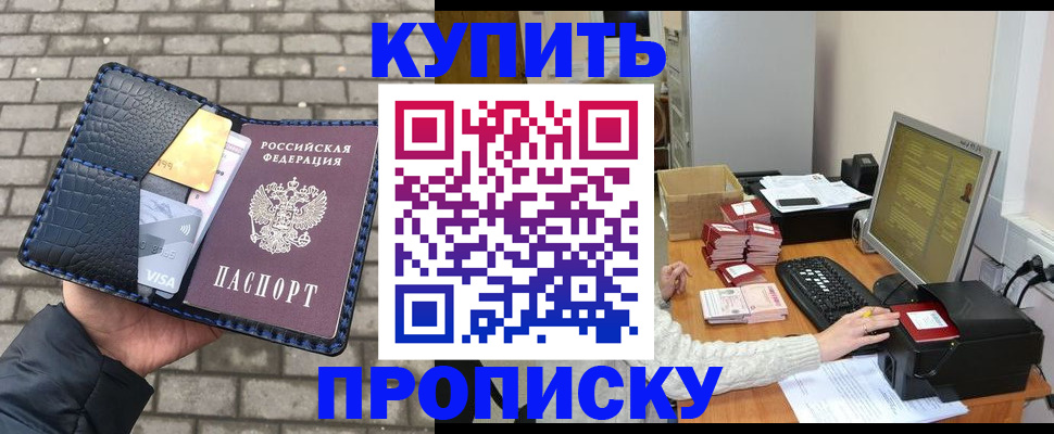 где прописаться в Димитровграде